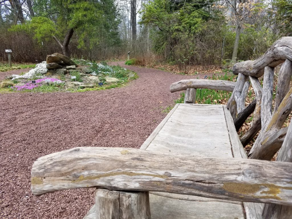 Bench at the Arboretum