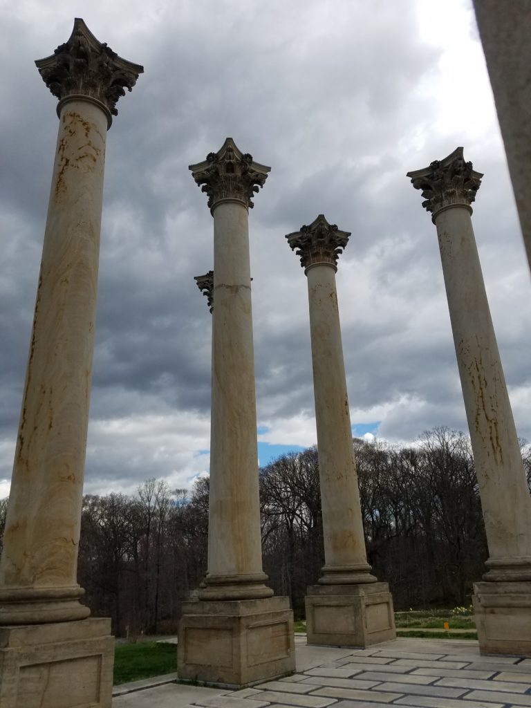 Close-up of capitol columns