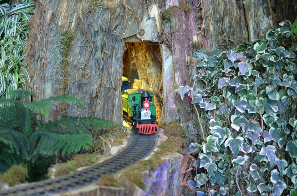 Train leaving the tunnel