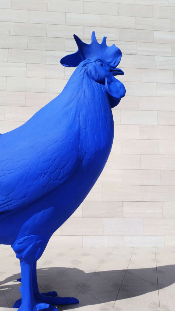 Hahn/Cock at National Gallery of Art