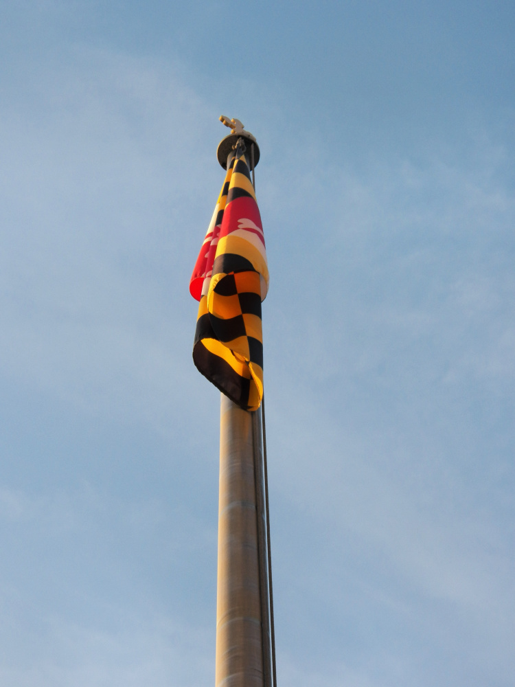 Maryland state flag