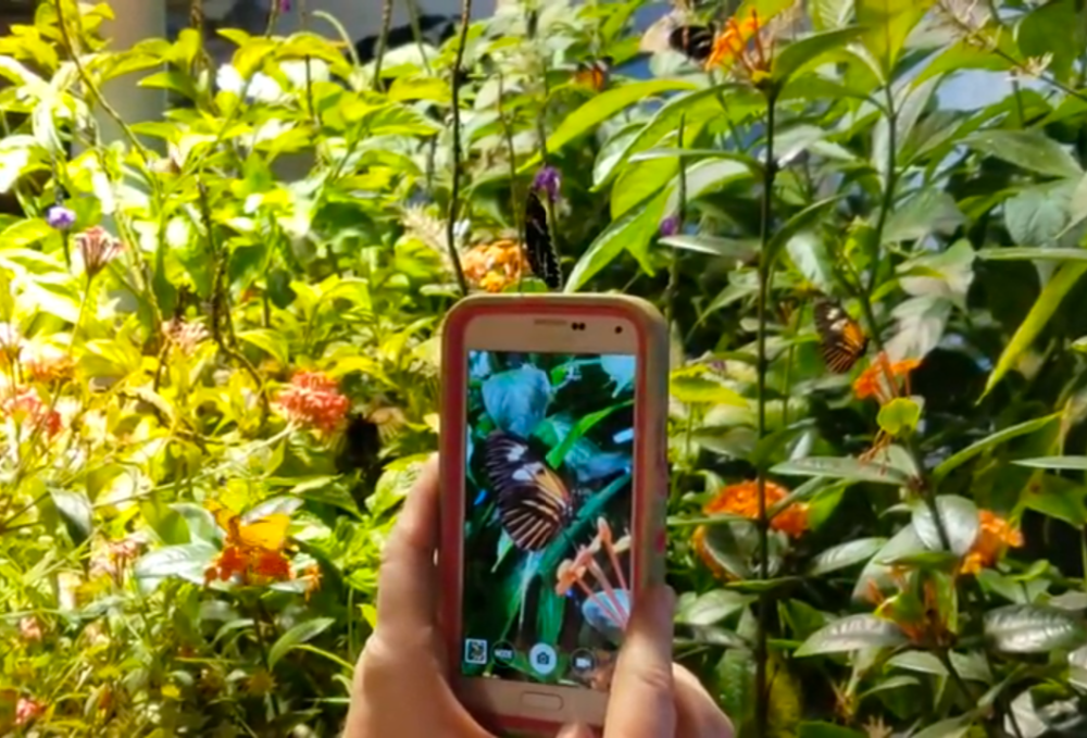 Butterfly pavilion