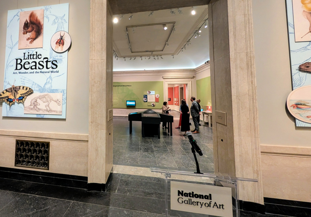 Exhibit entrance, Little Beasts