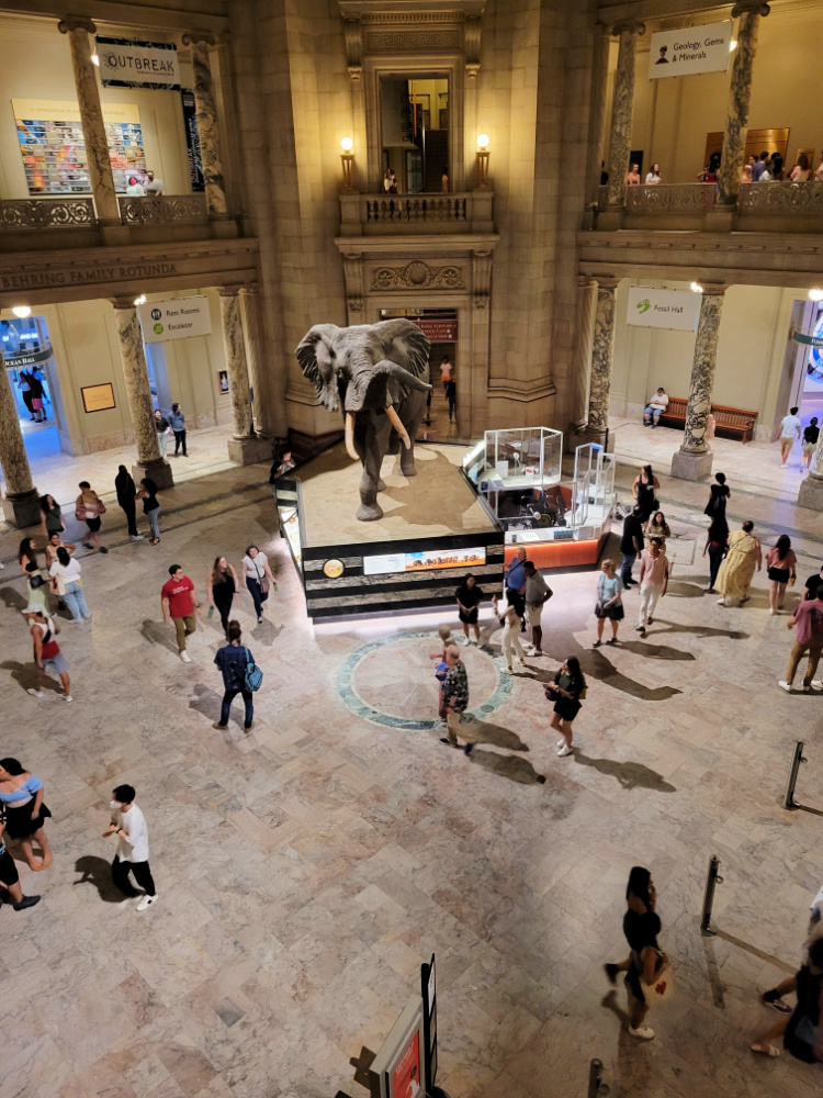 Solstice Saturday at Natural History