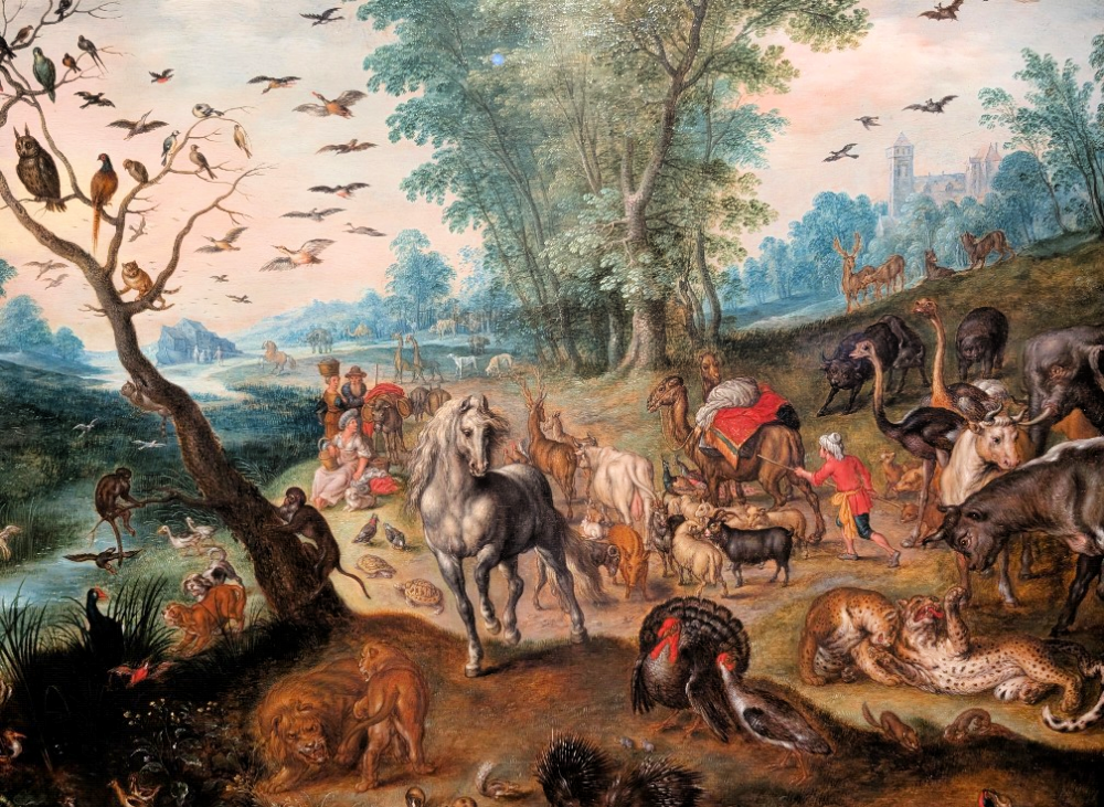 Noah's ark