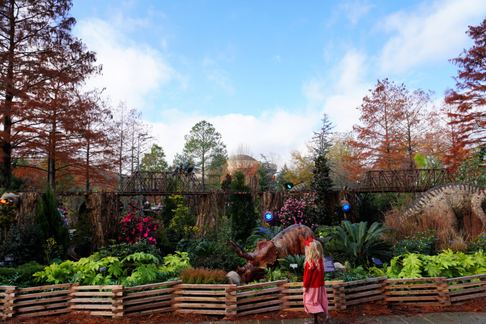 Seasons' Greening display