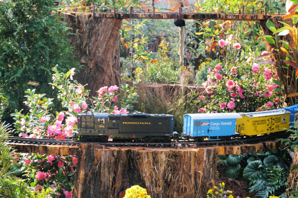 Christmas trains