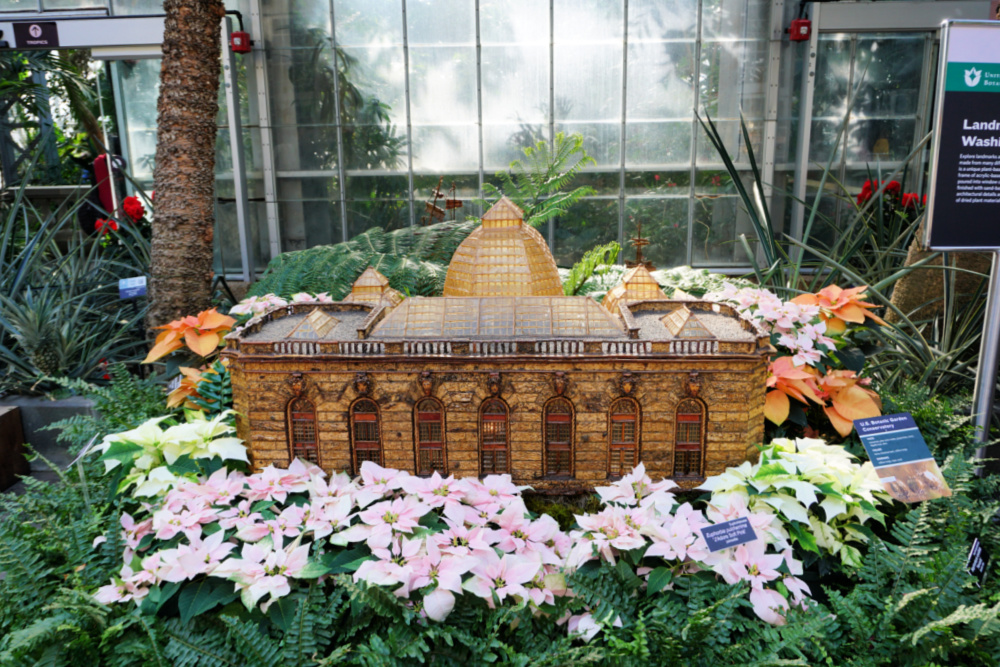 Botanic garden display
