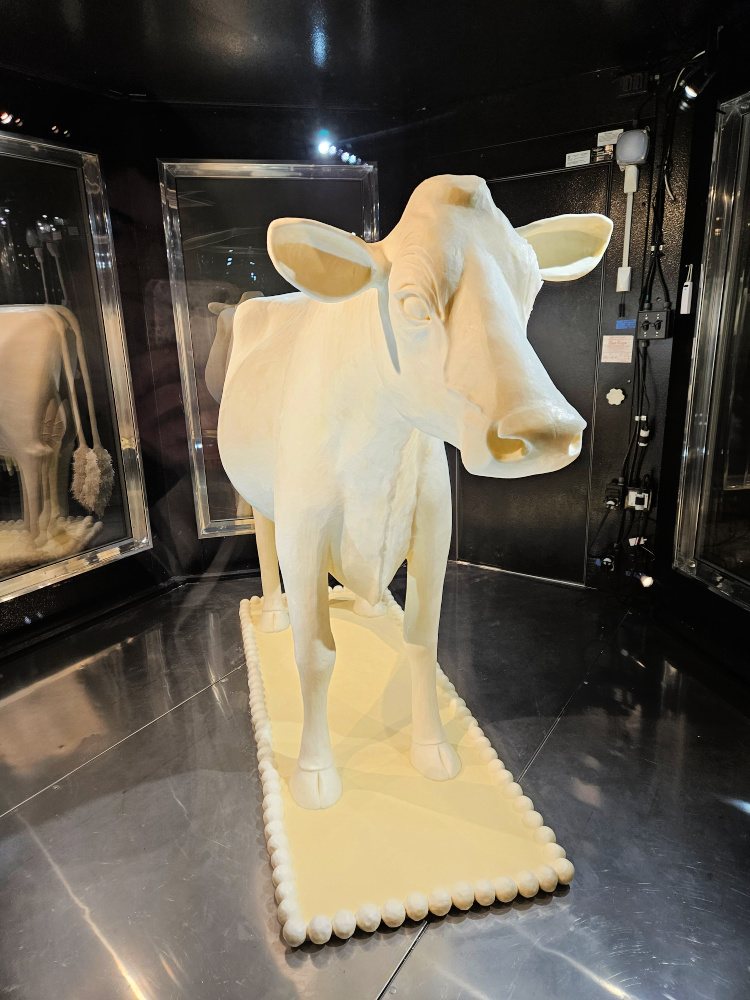 Iowa butter cow