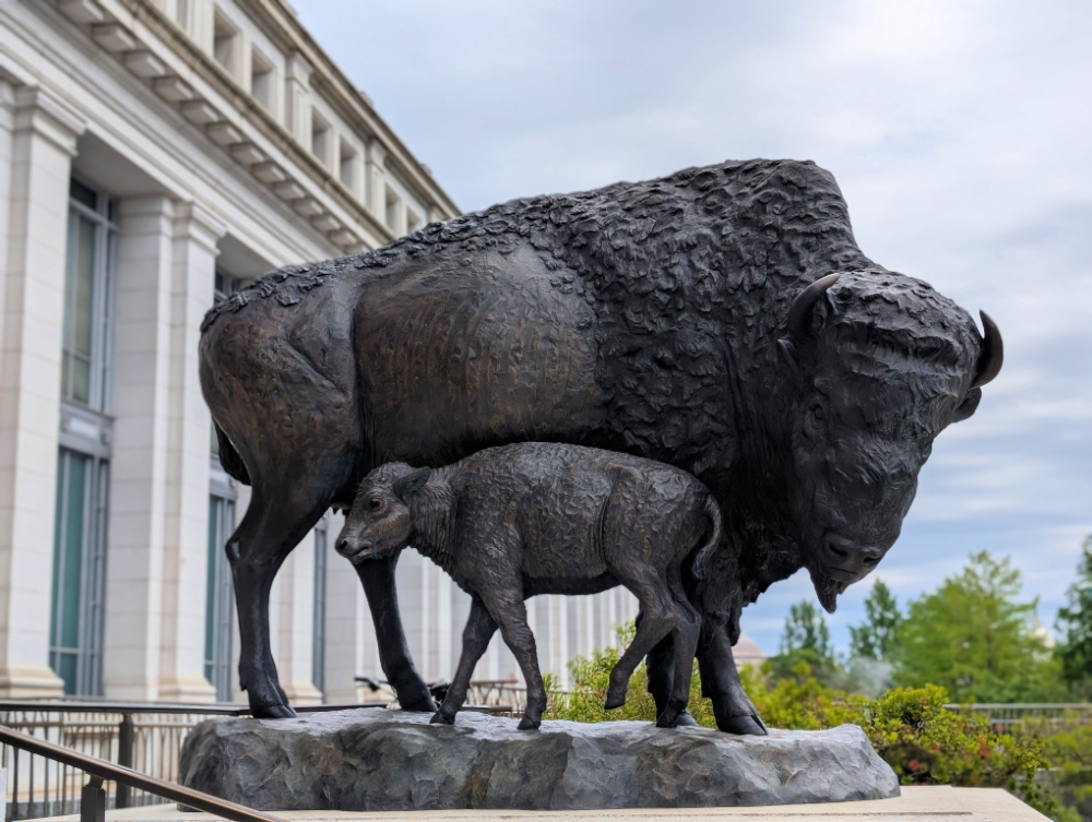 Bison statue